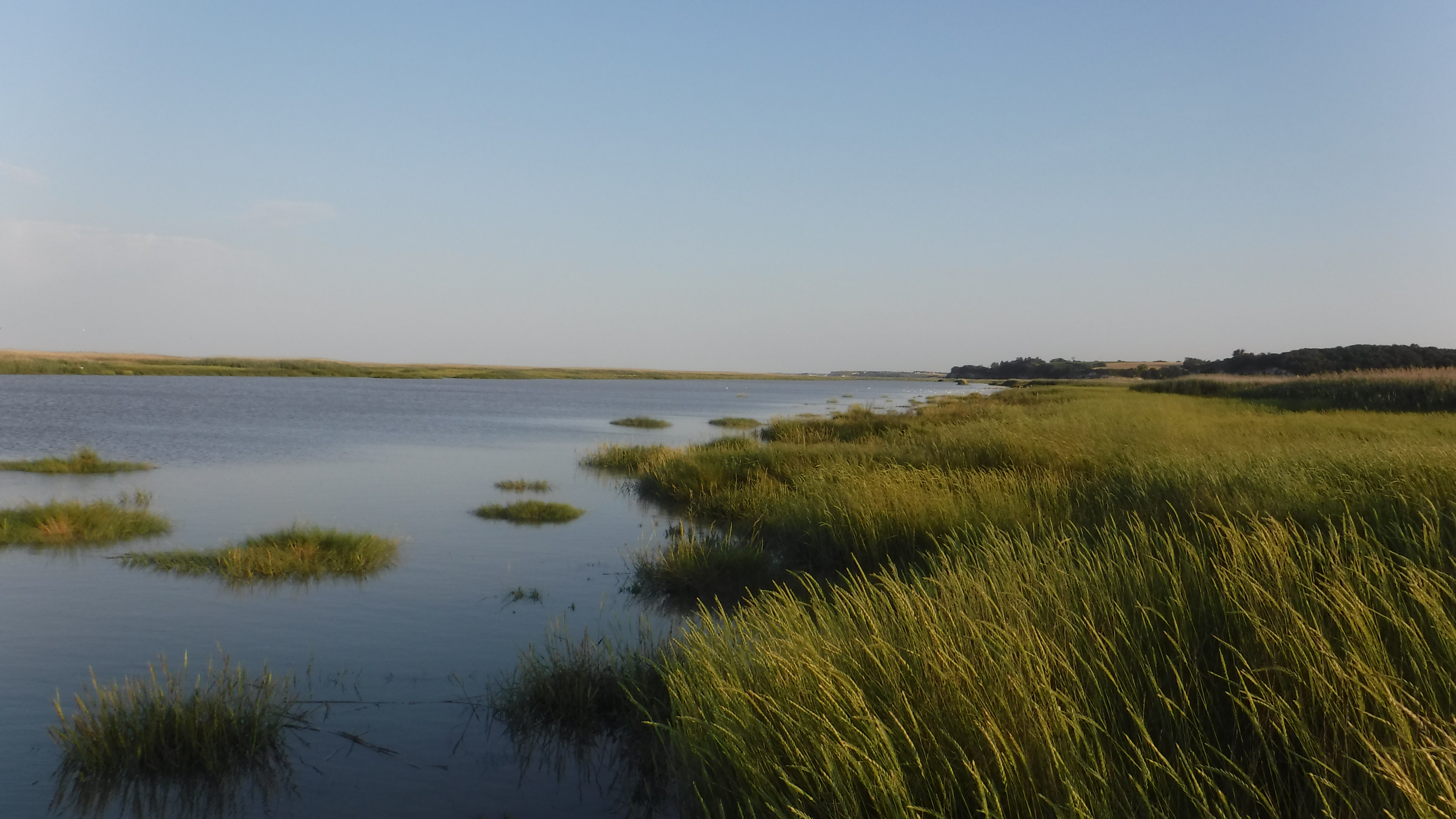 Marais