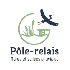 Logo 3