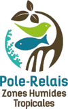 Logo 4