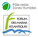 Footer Logo