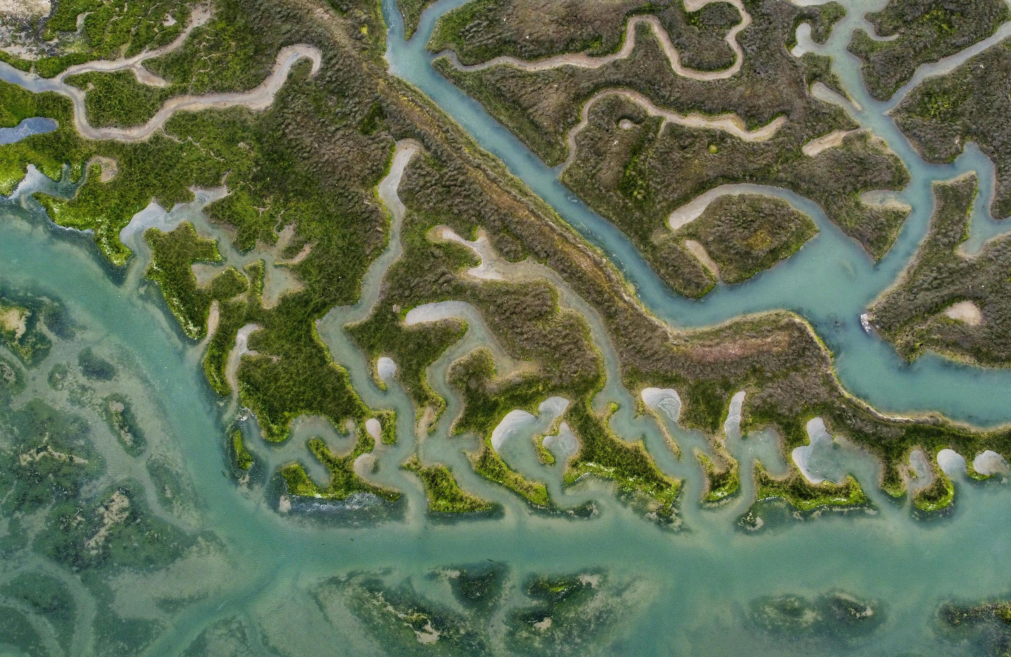 Estuaire