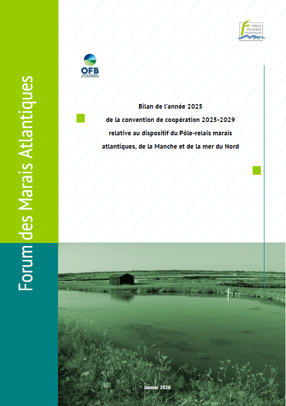 Bilan 5